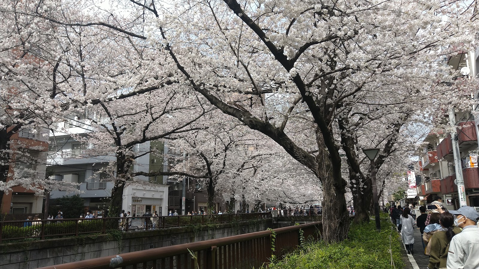 Nakameguro — photo 4