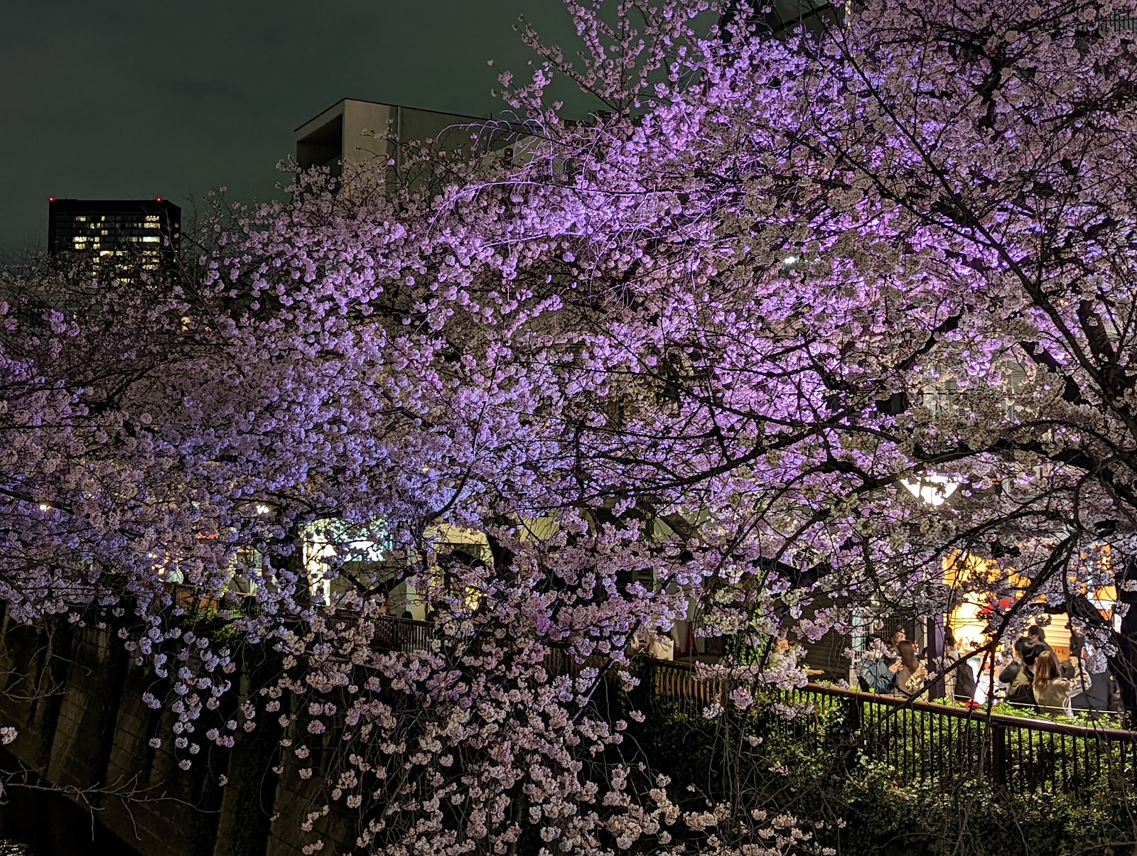 Nakameguro — photo 5