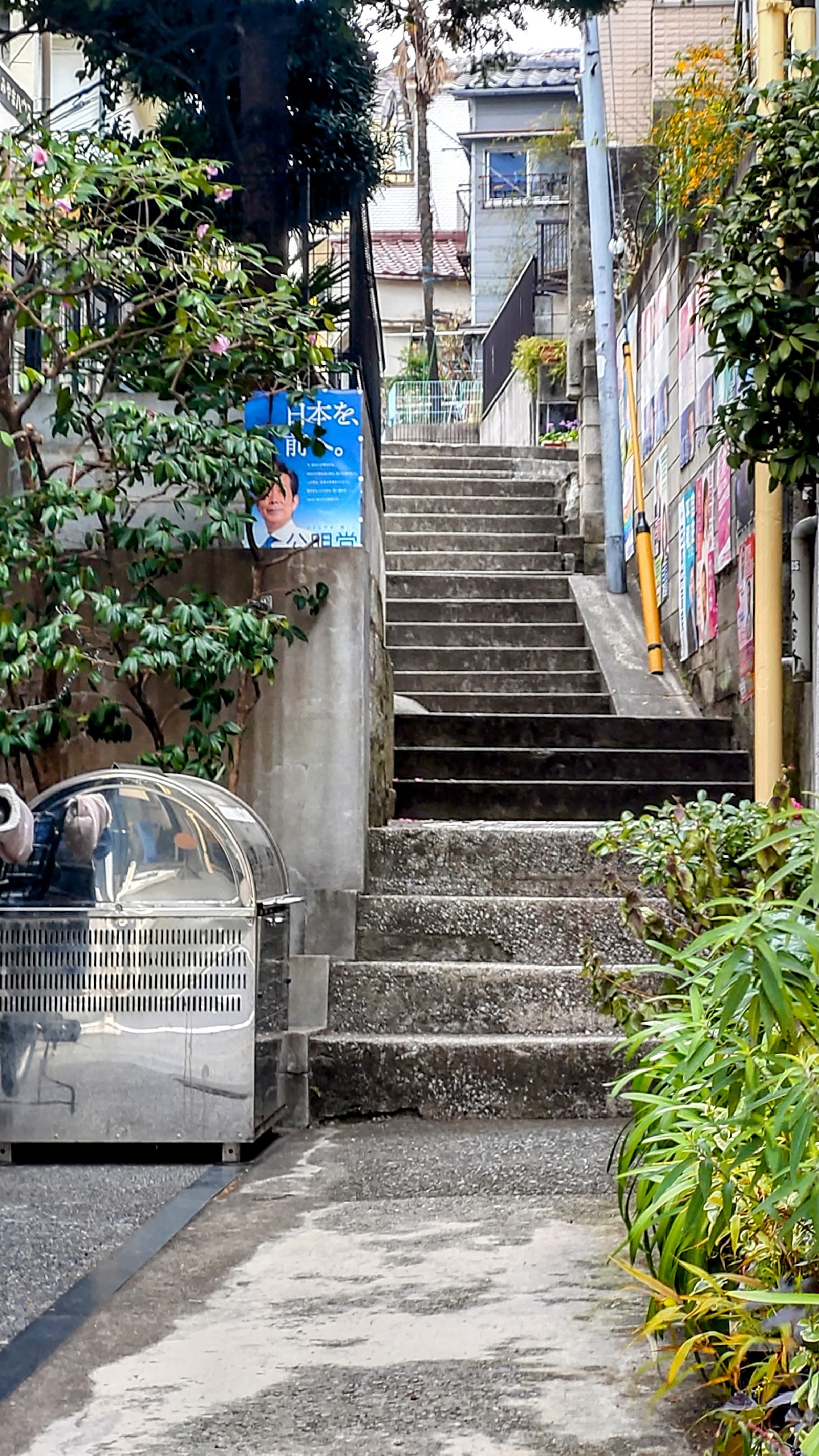 Daikanyama — photo 2