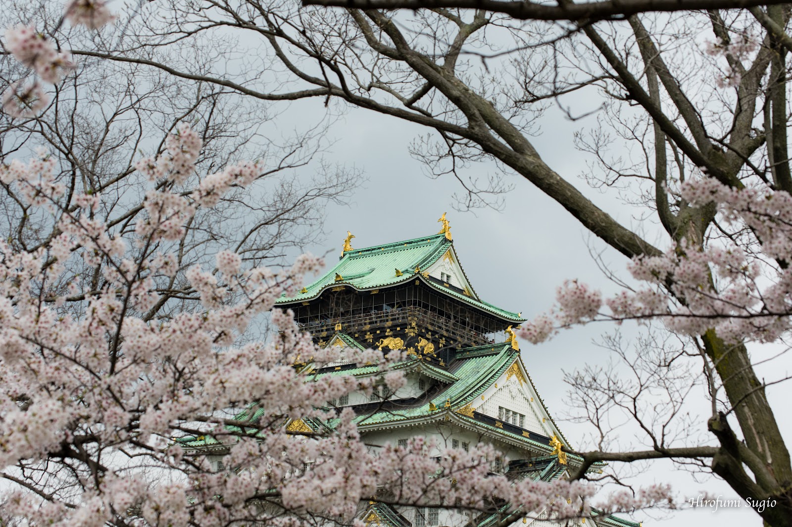 Nishinomaru Garden — photo 1