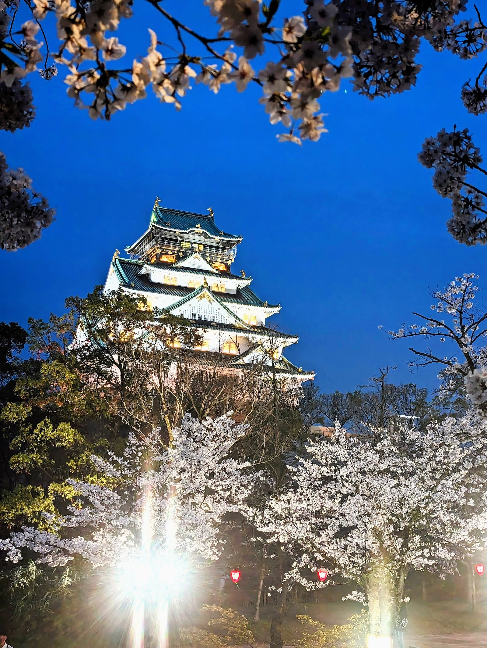 Nishinomaru Garden — photo 2