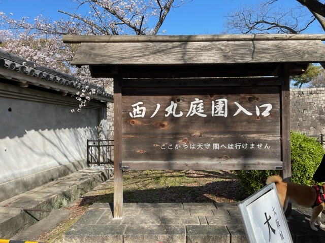 Nishinomaru Garden — photo 4
