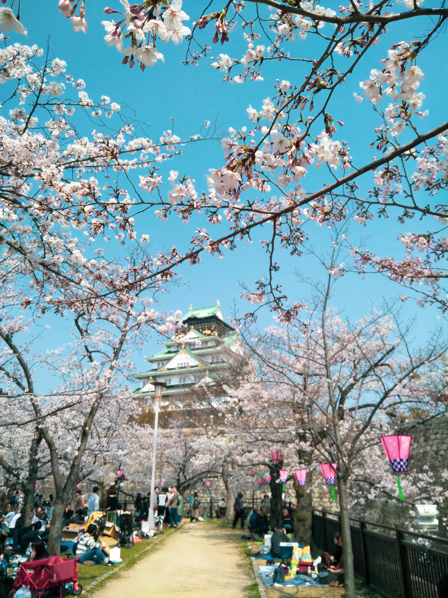 Nishinomaru Garden — photo 5