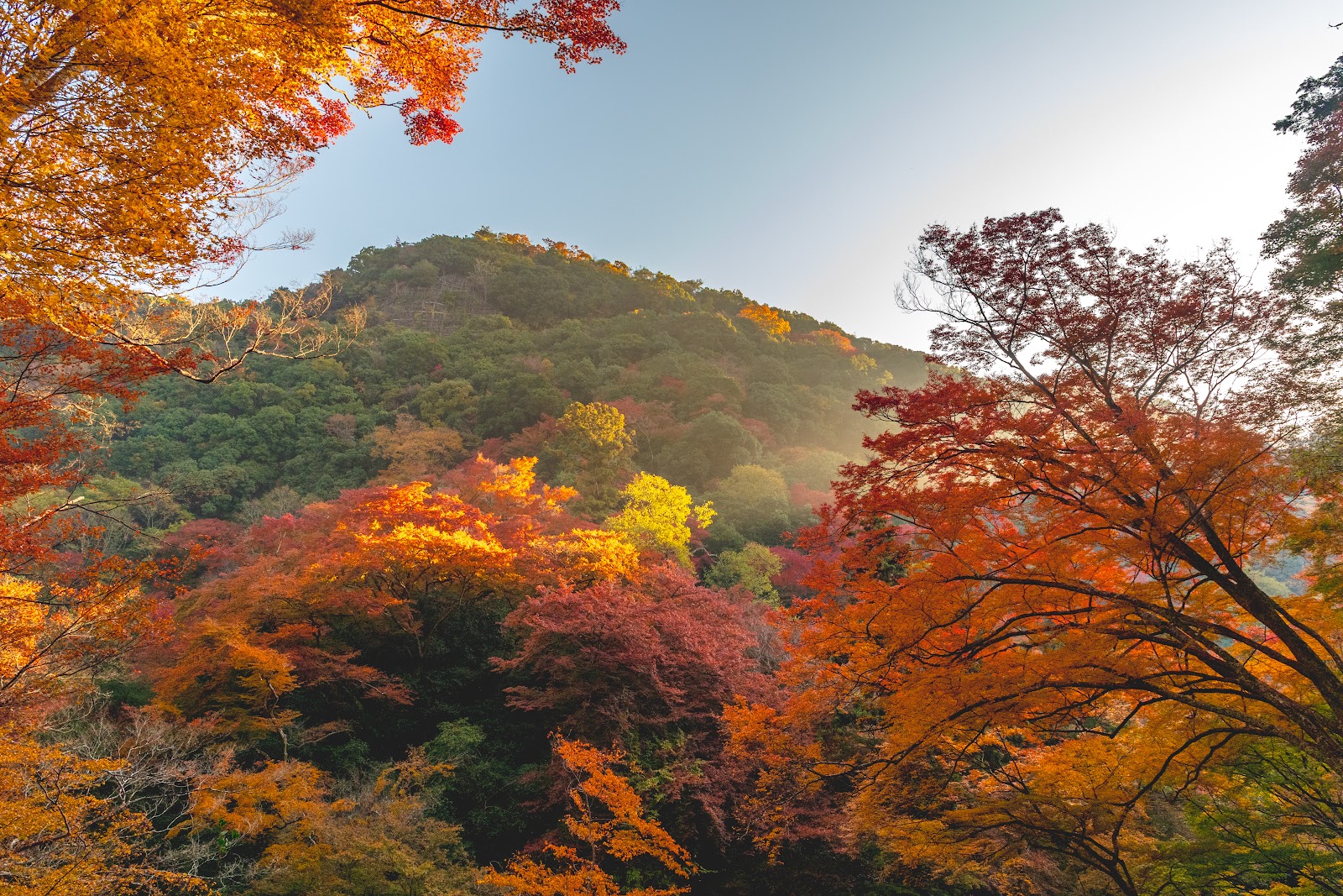 Minoo Park — photo 4