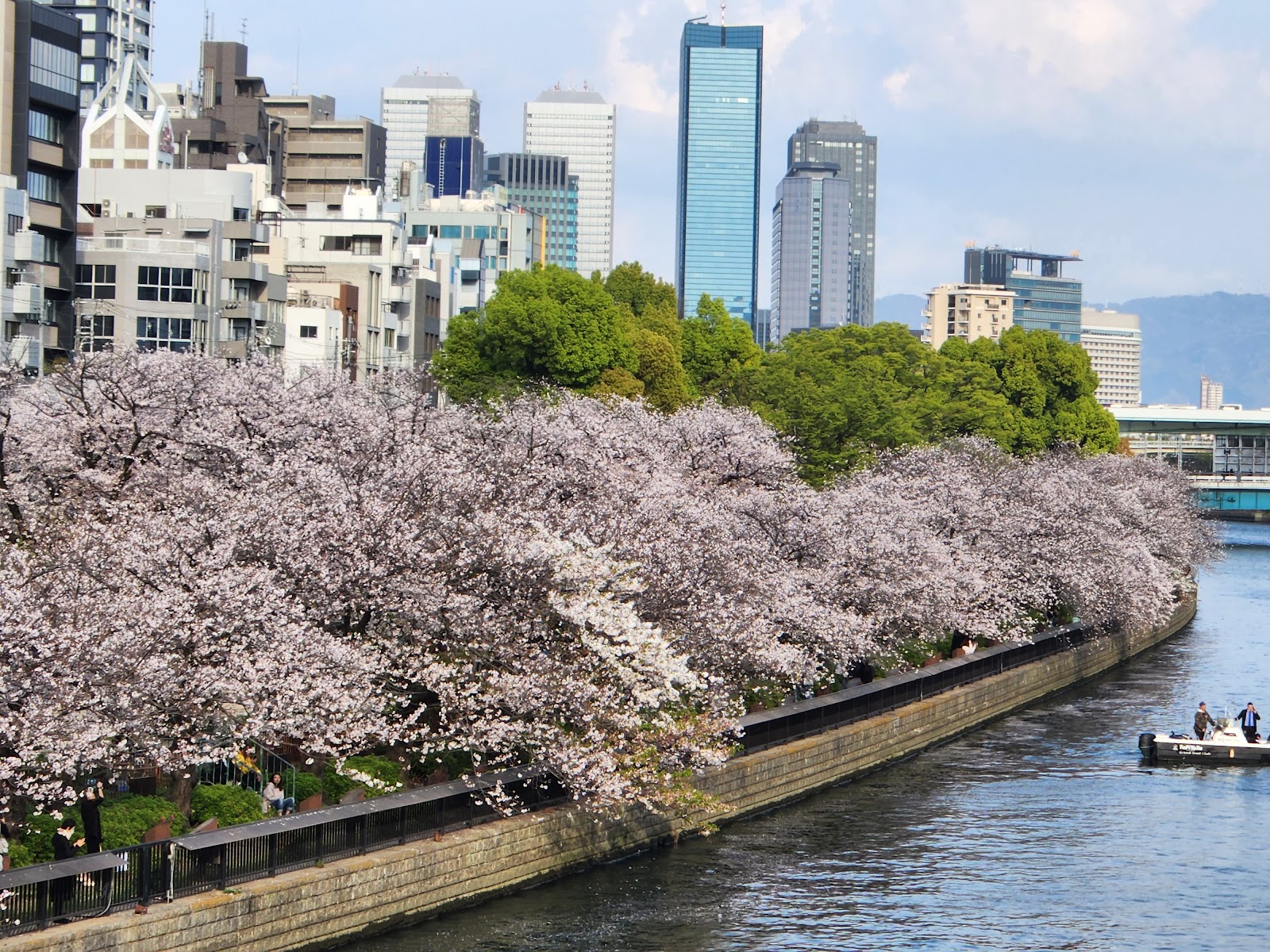 Nakanoshima Park — photo 4