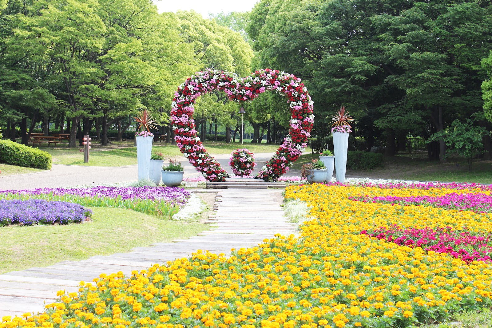 Nagai Botanical Garden — photo 1