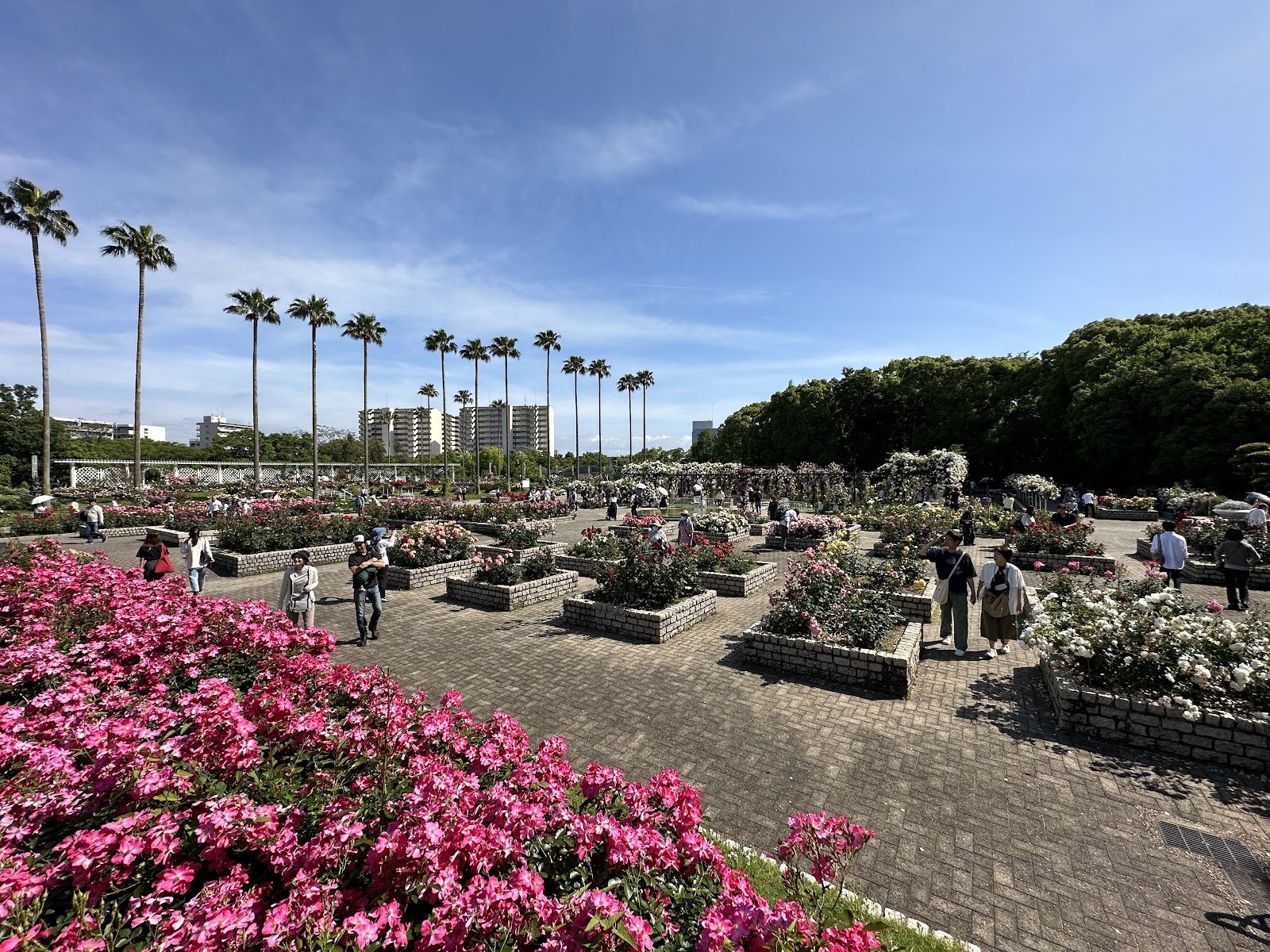 Nagai Botanical Garden — photo 2