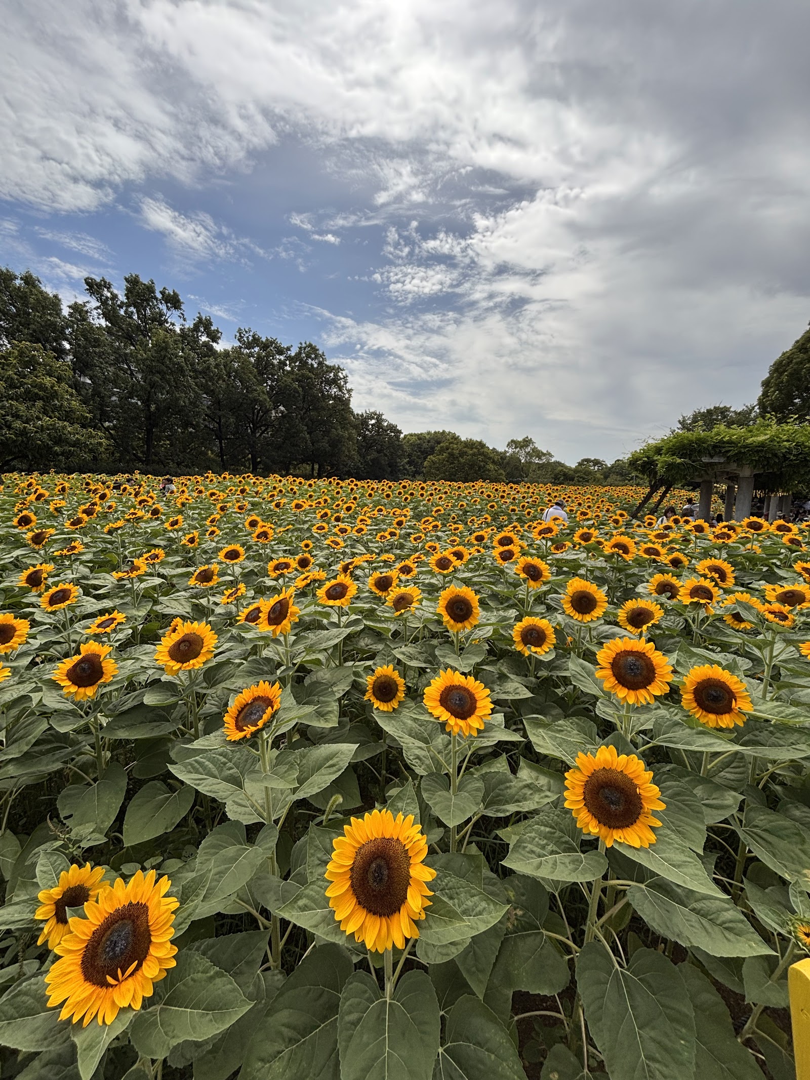 Nagai Botanical Garden — photo 3