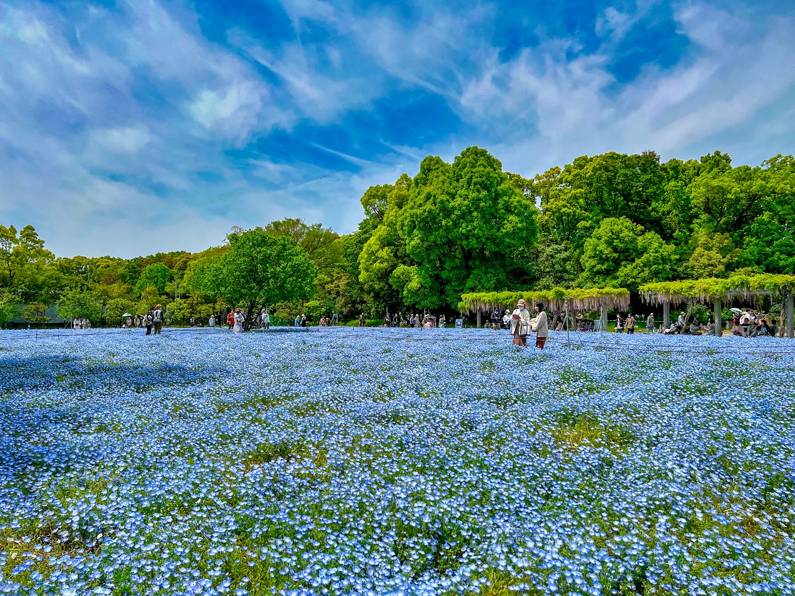 Nagai Botanical Garden — photo 4