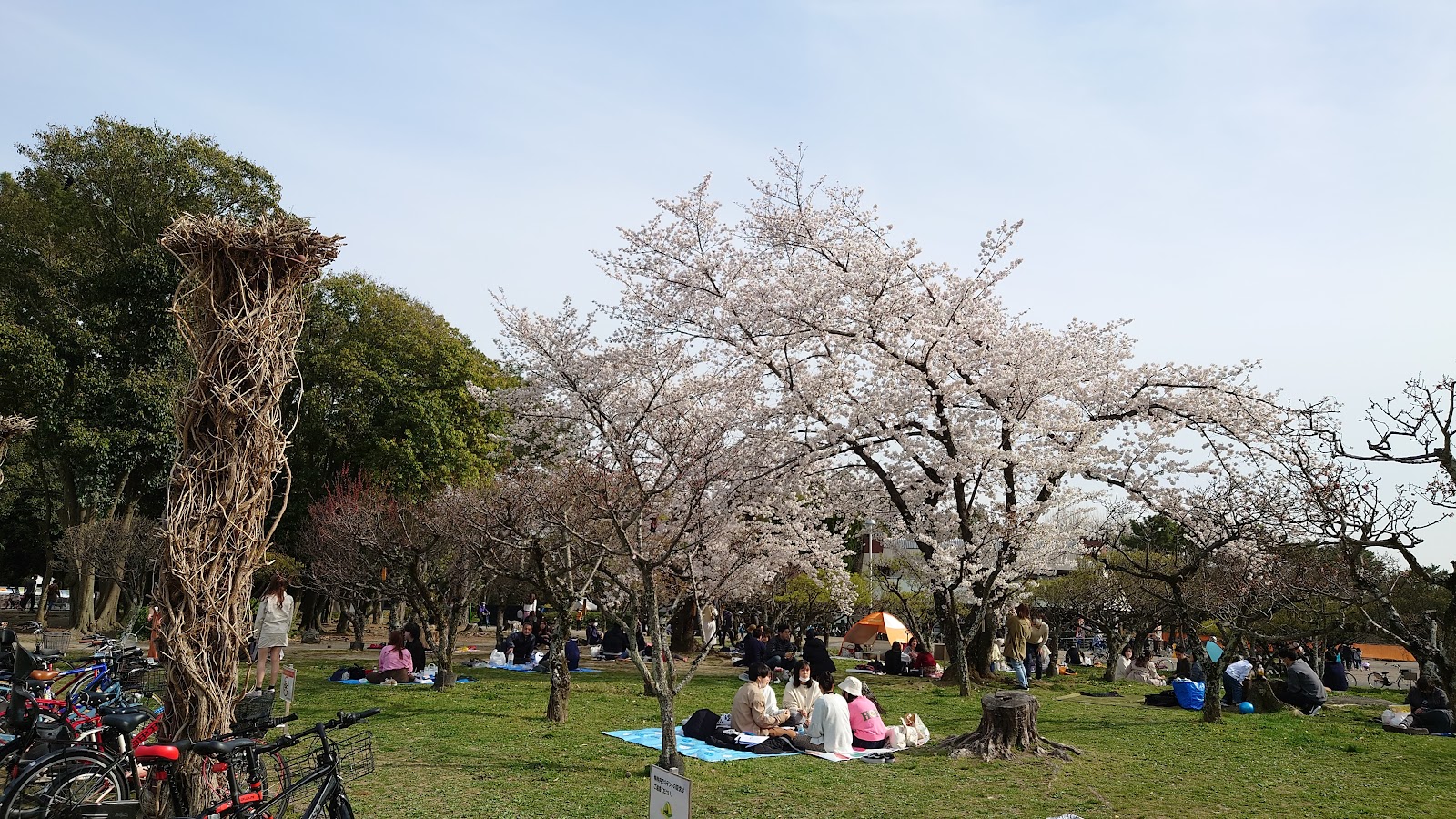 Hattori Ryokuchi Park — photo 4