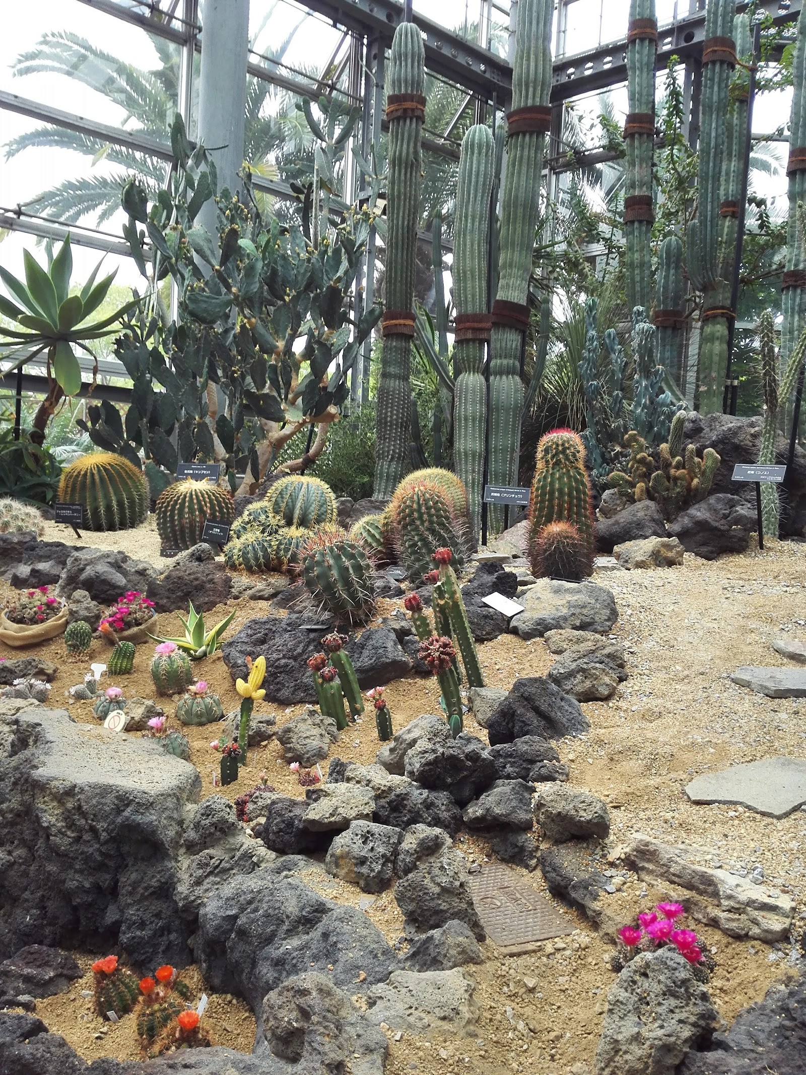 Tsurumi Ryokuchi Park — photo 2