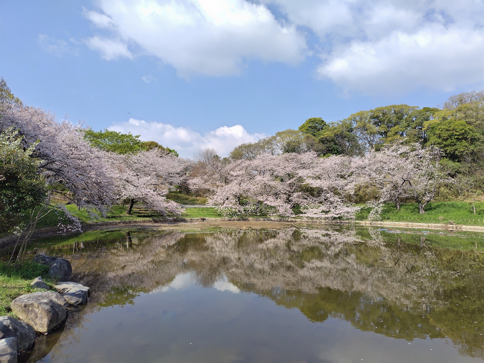 Tsurumi Ryokuchi Park — photo 5