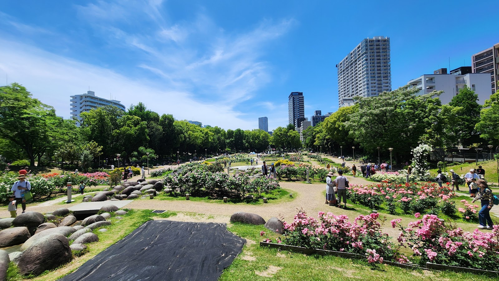 Utsubo Park — photo 1