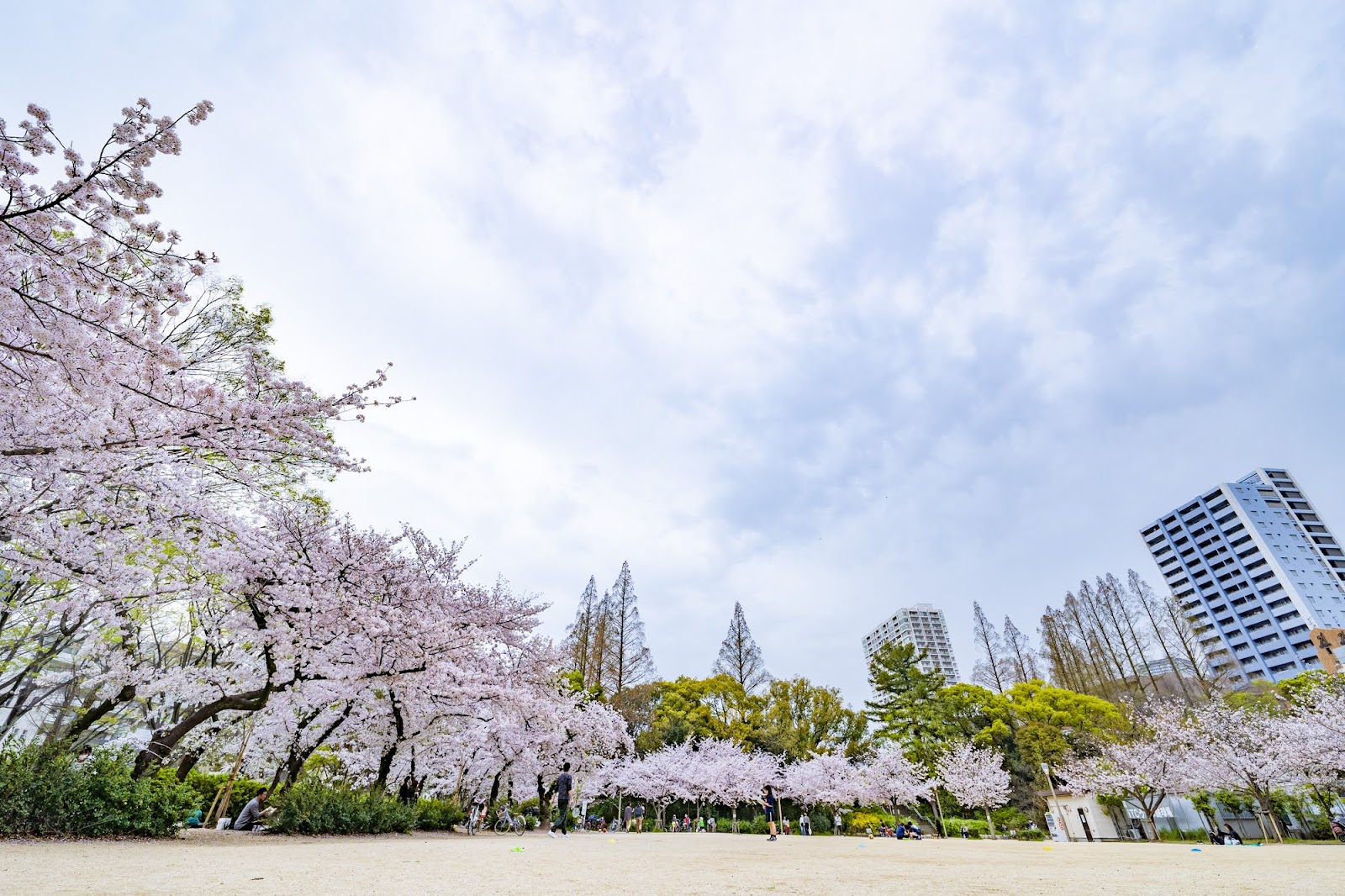 Utsubo Park — photo 4