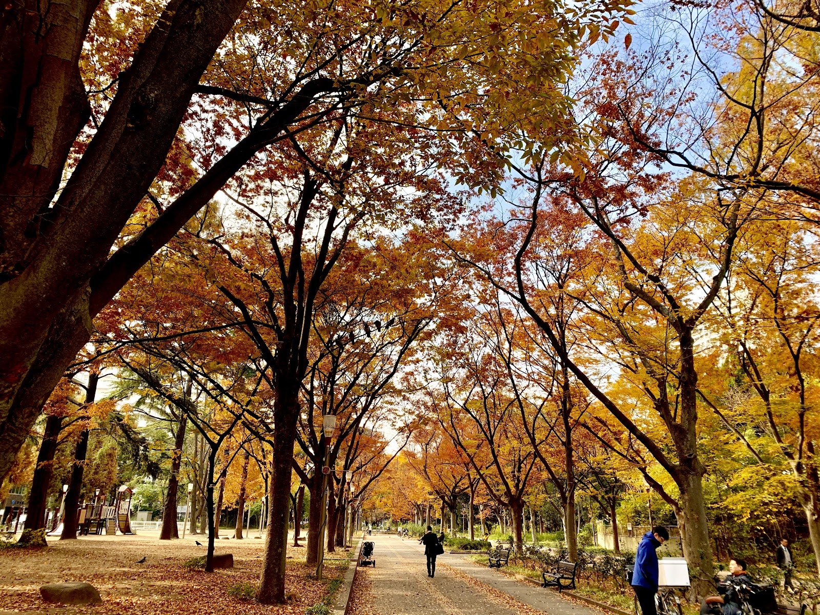 Utsubo Park — photo 5