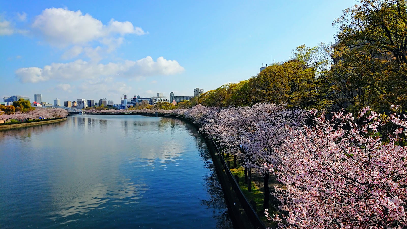 Kema Sakuranomiya Park — photo 1