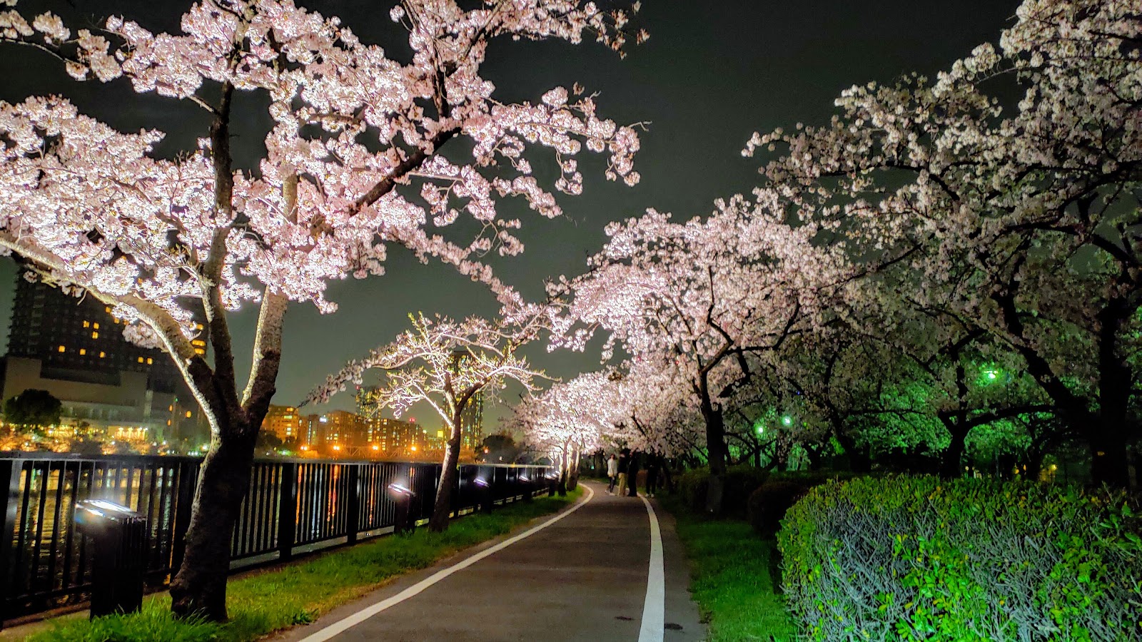 Kema Sakuranomiya Park — photo 3