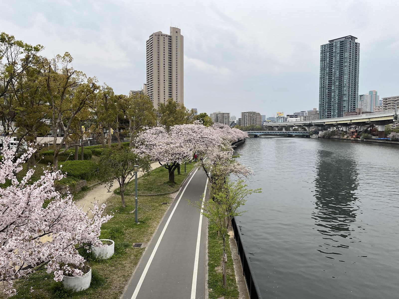 Kema Sakuranomiya Park — photo 5