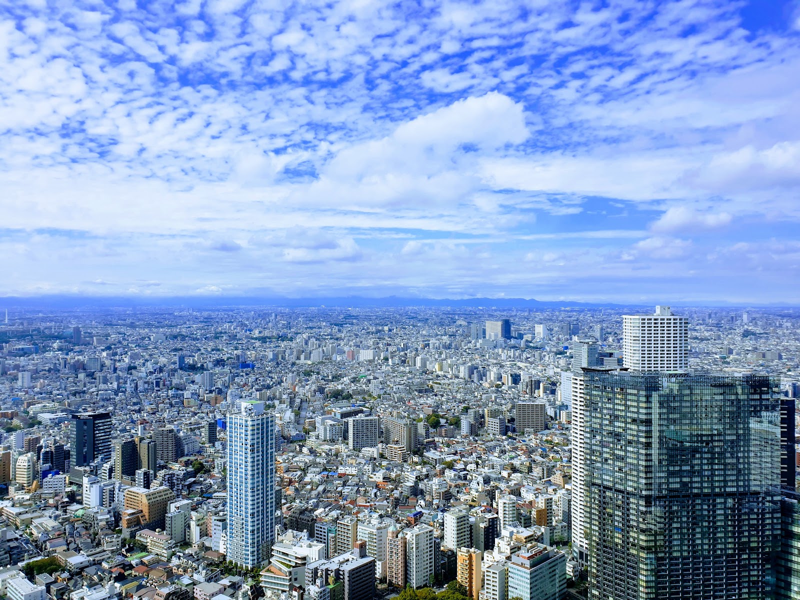 Tokyo Metropolitan Government Building Observatories — photo 2