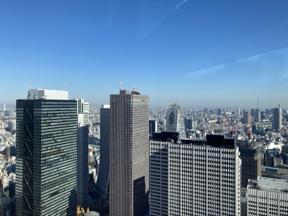 Tokyo Metropolitan Government Building Observatories — photo 4