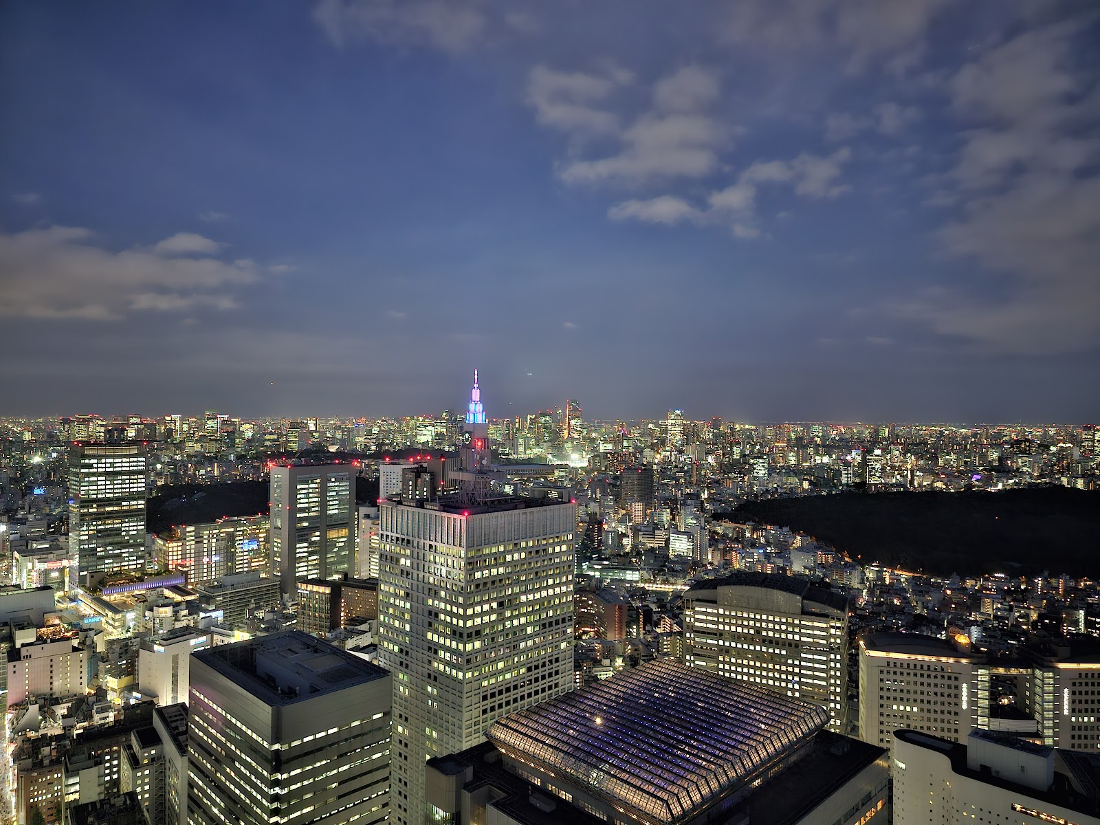 Tokyo Metropolitan Government Building Observatories — photo 5