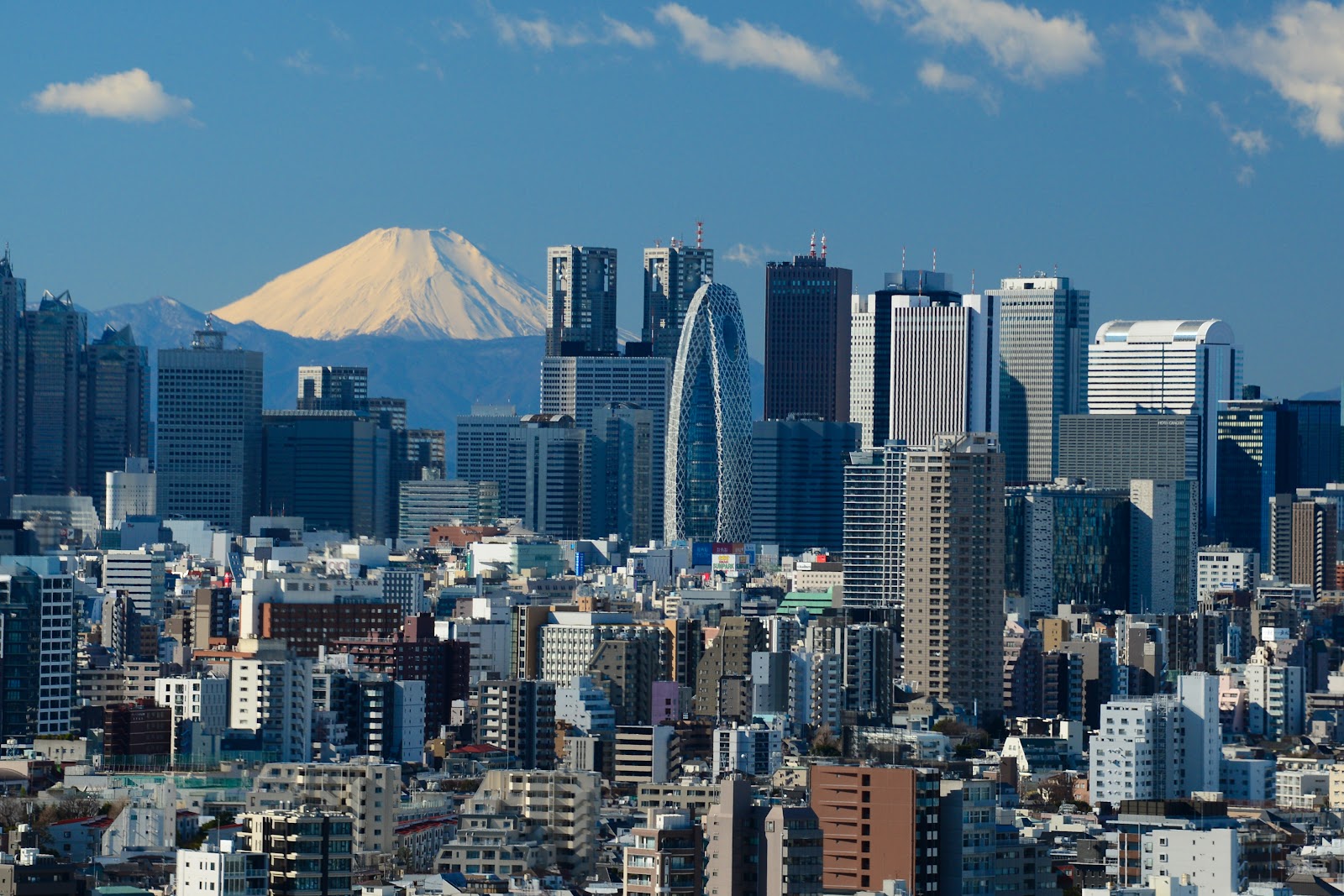 Bunkyo Civic Center Observation Deck — photo 4