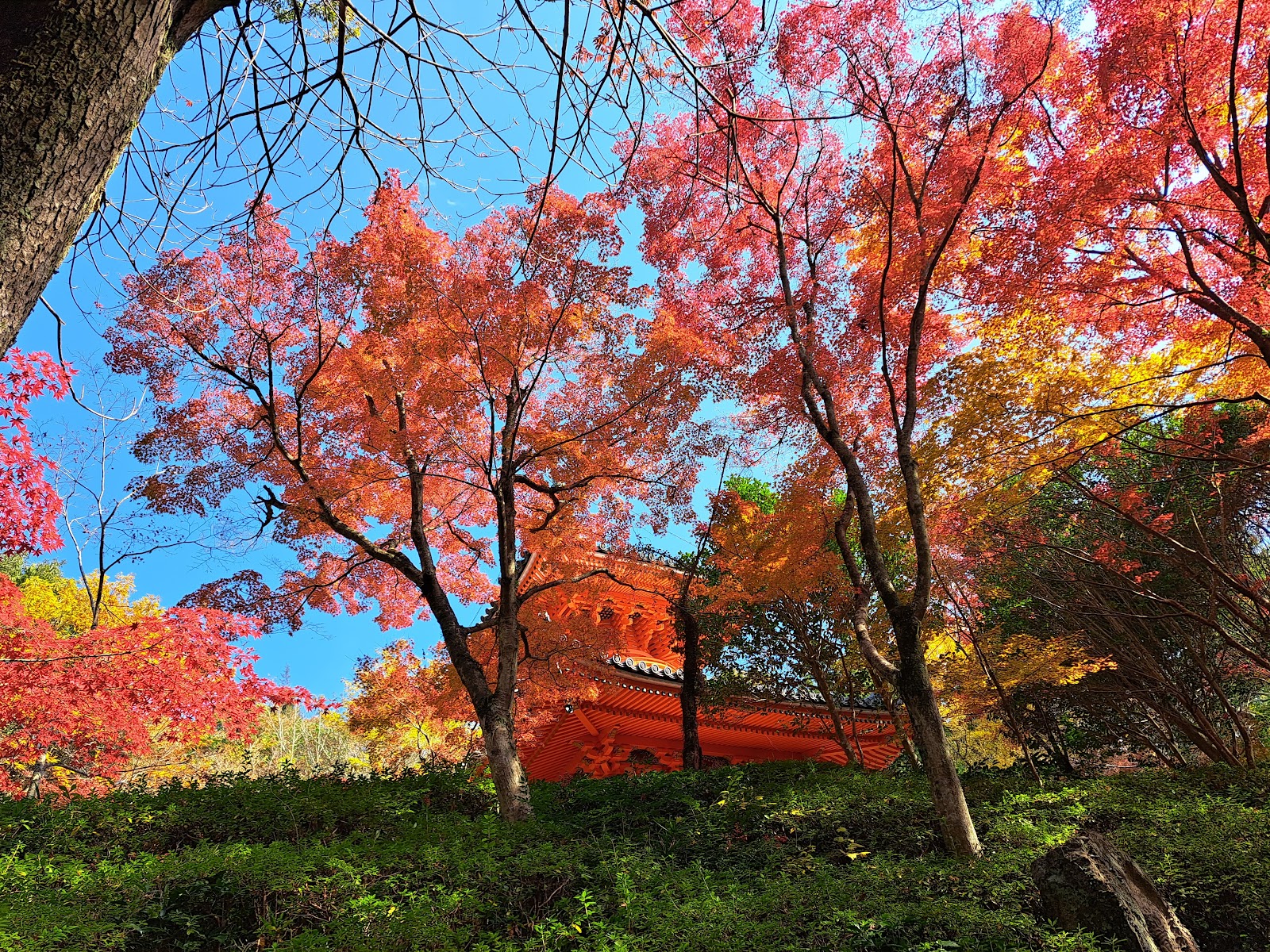Mitaki-dera Temple — photo 4