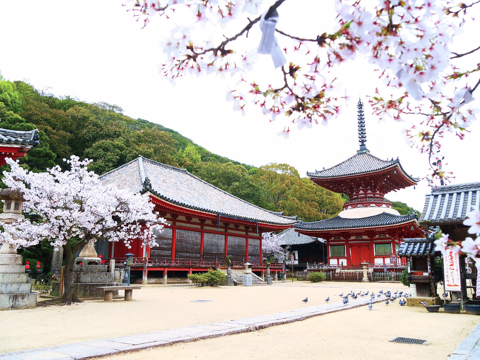 Jodo-ji Temple — photo 1